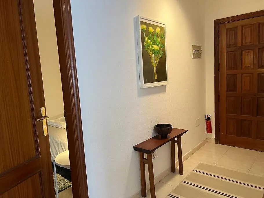 Cozy Apartment Santa Cruz de Tenerife 0*,  Spain