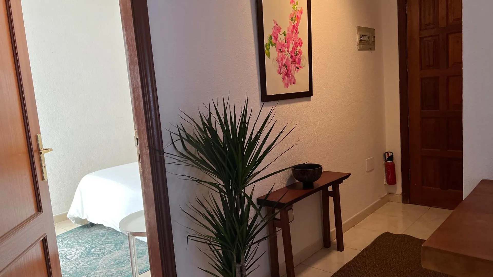 Cozy Apartment Santa Cruz de Tenerife