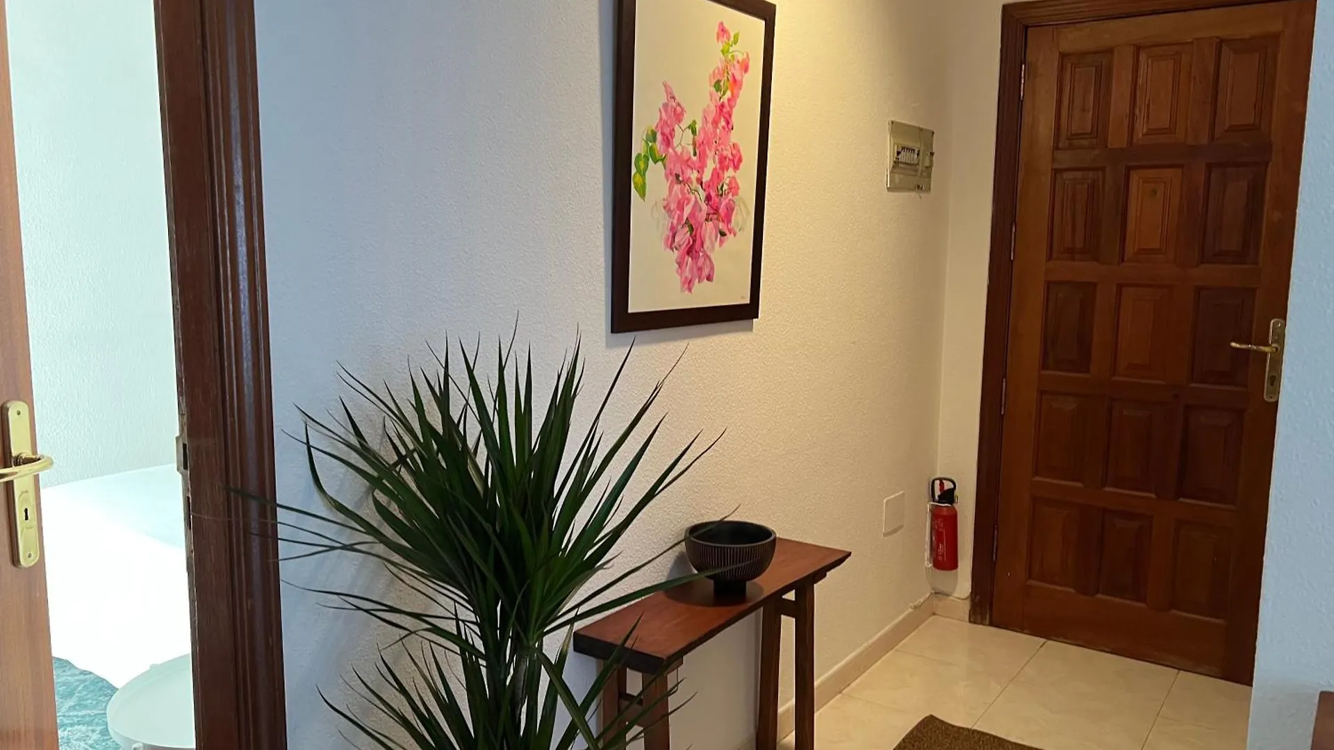 Cozy Apartment Santa Cruz de Tenerife Spain
